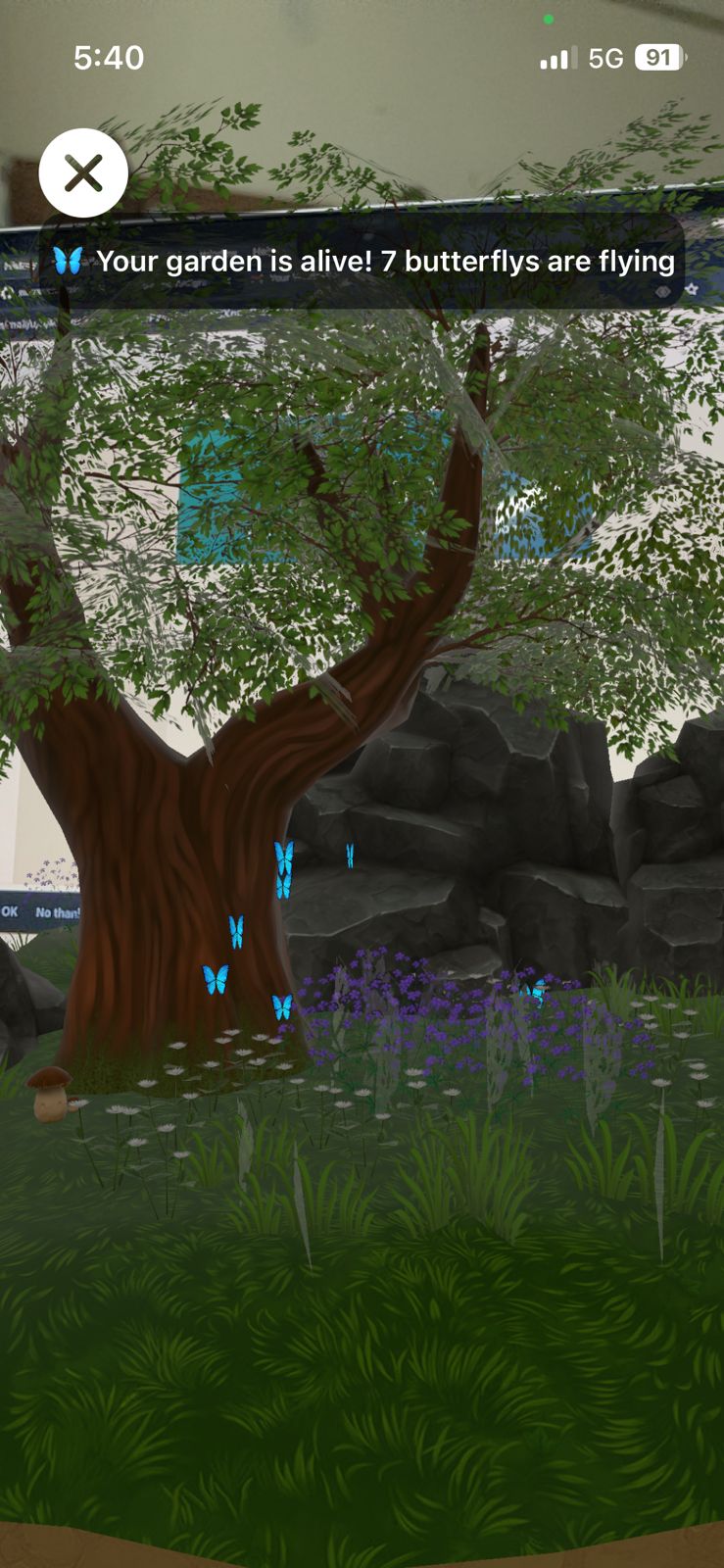 AR Garden Progress